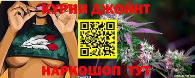 мдма Кингисепп